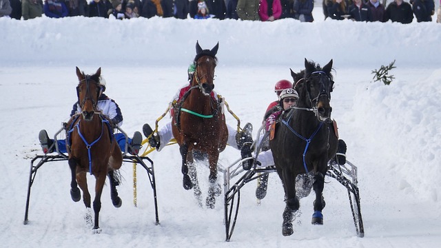 在比赛中的 在比赛中的