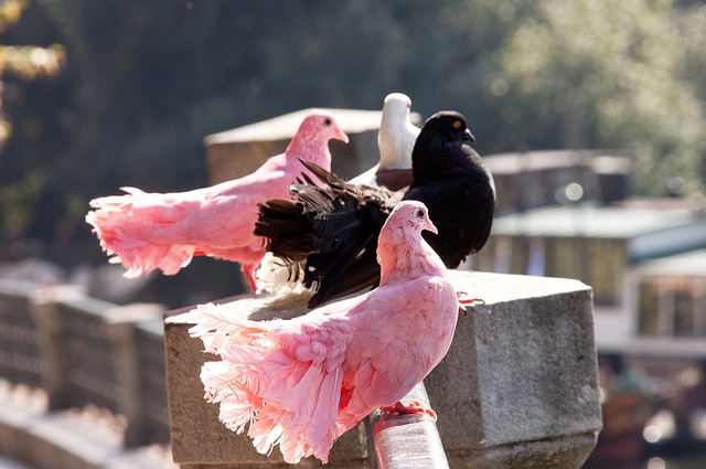 在整场比赛 在整场比赛